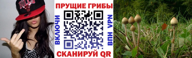 Галлюциногенные грибы мицелий  даркнет сайт  Алапаевск 